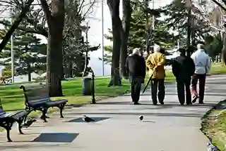 Senior Citizen Park